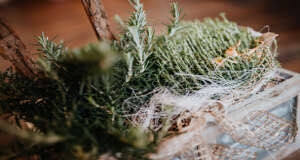 Heilpflanzen als 2. Element der Naturheilkunde nach Kneipp