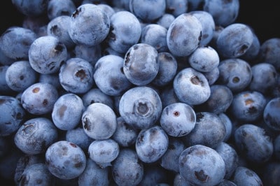 Ernährung